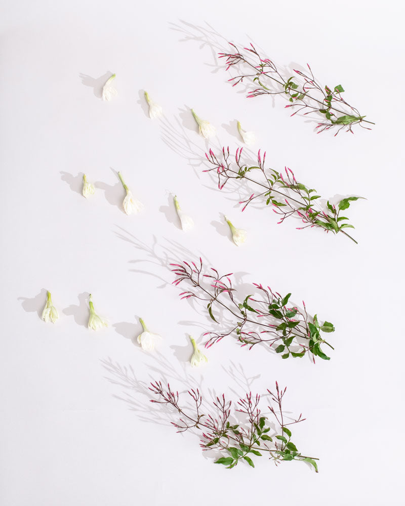 Spring: The Renewal Edit – Soft Tones & Strategic Silence